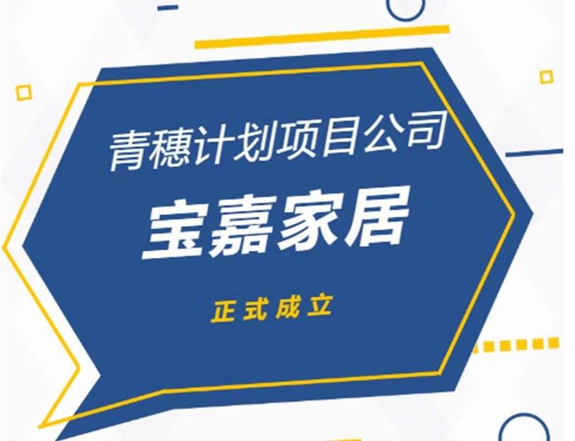 「青穗计划」抽新穗！首个员工自主运营项目宝嘉家居成立